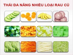 Những tiêu chí chọn mua máy thái rau củ quả phù hợp với cơ sở kinh doanh