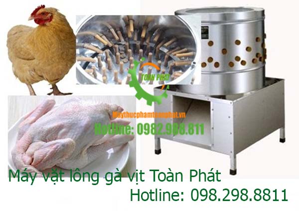 Máy vặt lông gà vịt